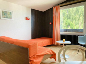 Penthouse studio, perfect place for ski touring !